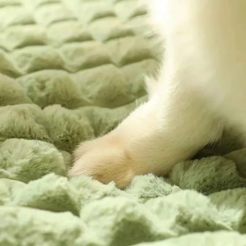 Tapis Apaisant Matelassé & Déhoussable Oukita - Tapis Moelleux pour Chien & Chat